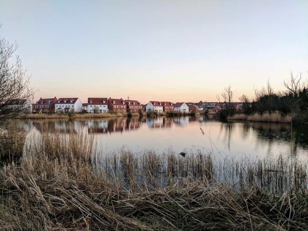 winter pond and lake management scenic