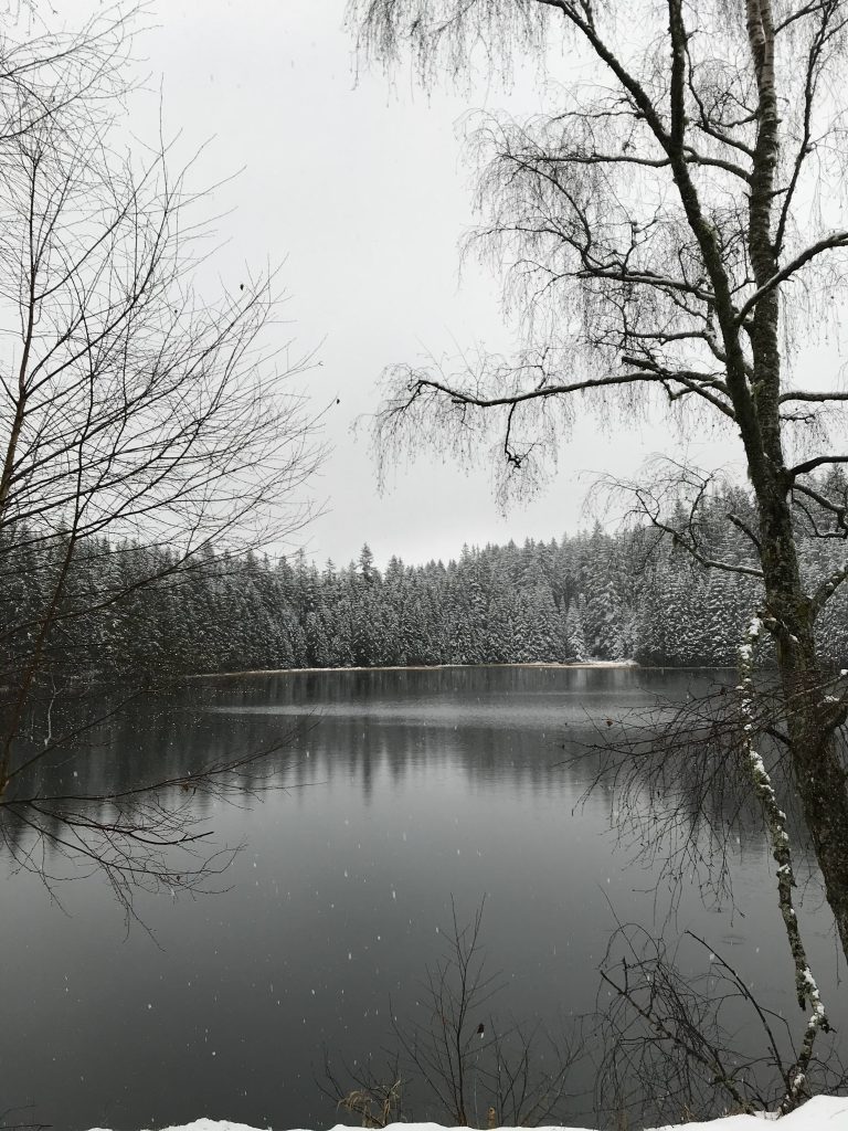 winter pond and lake management scenic (13)