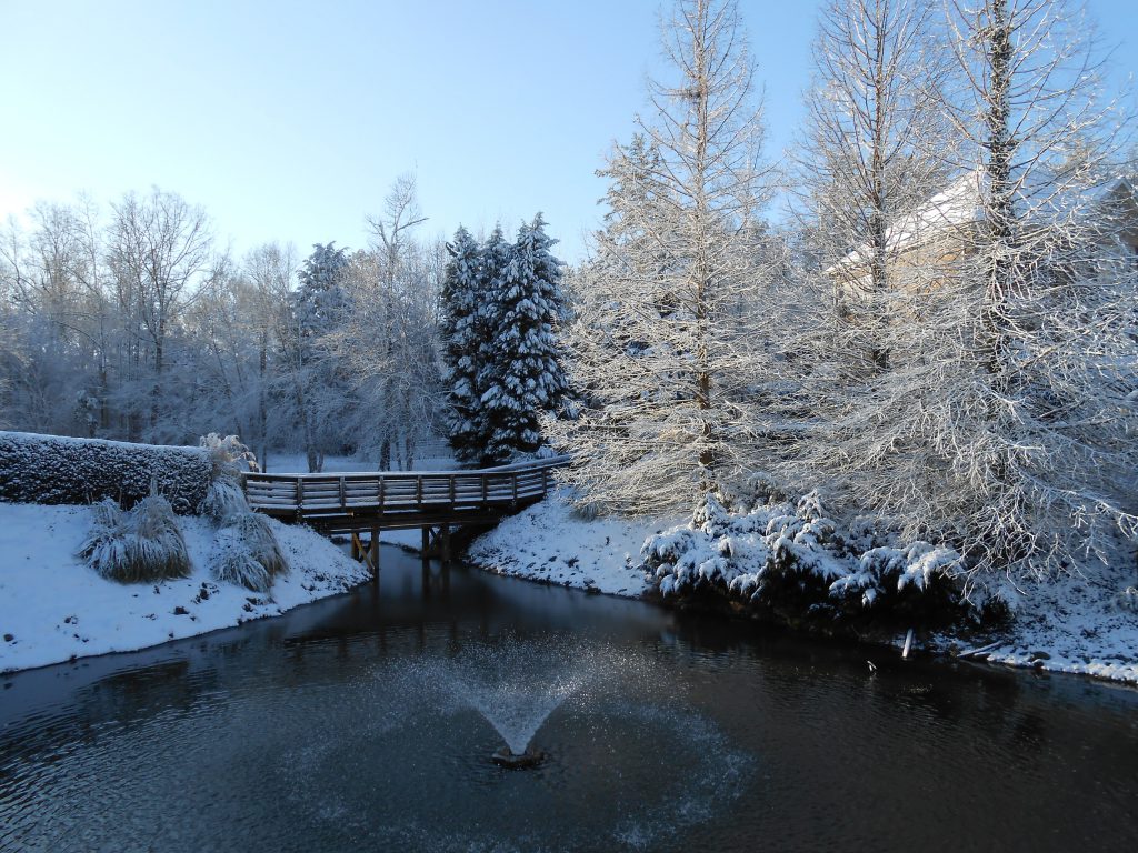 winter pond and lake management scenic (14) - floating fountain aeration system