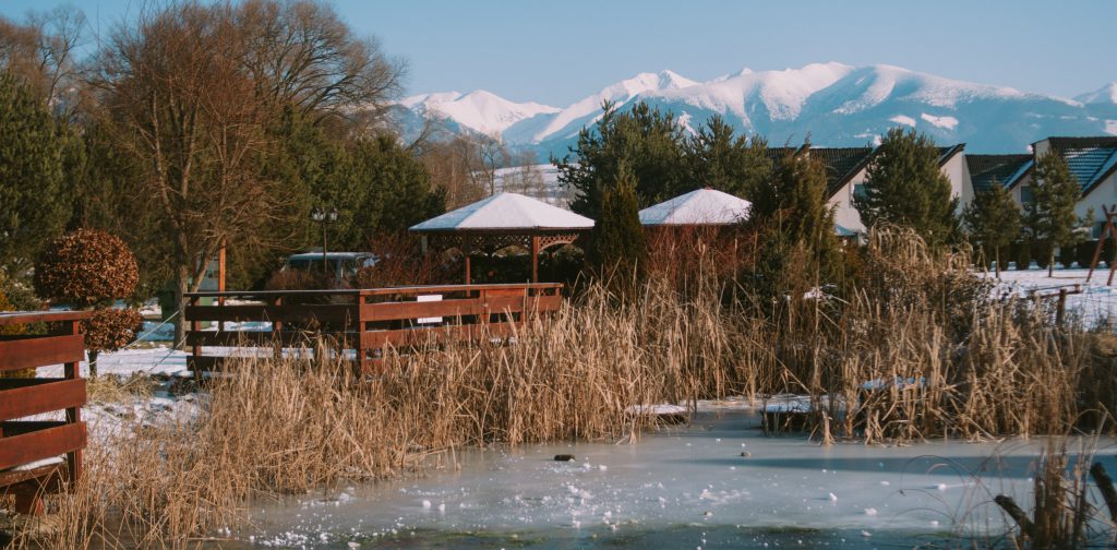 winter pond and lake management scenic (15)
