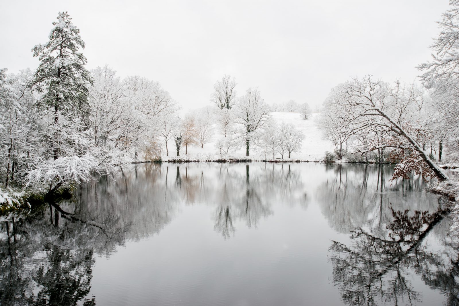 winter pond and lake management scenic (9)