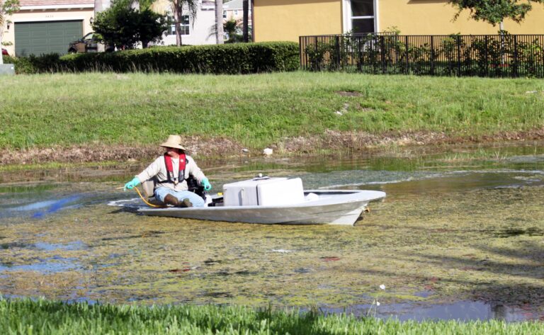 algaecide-herbicide-treatment-lakes-ponds
