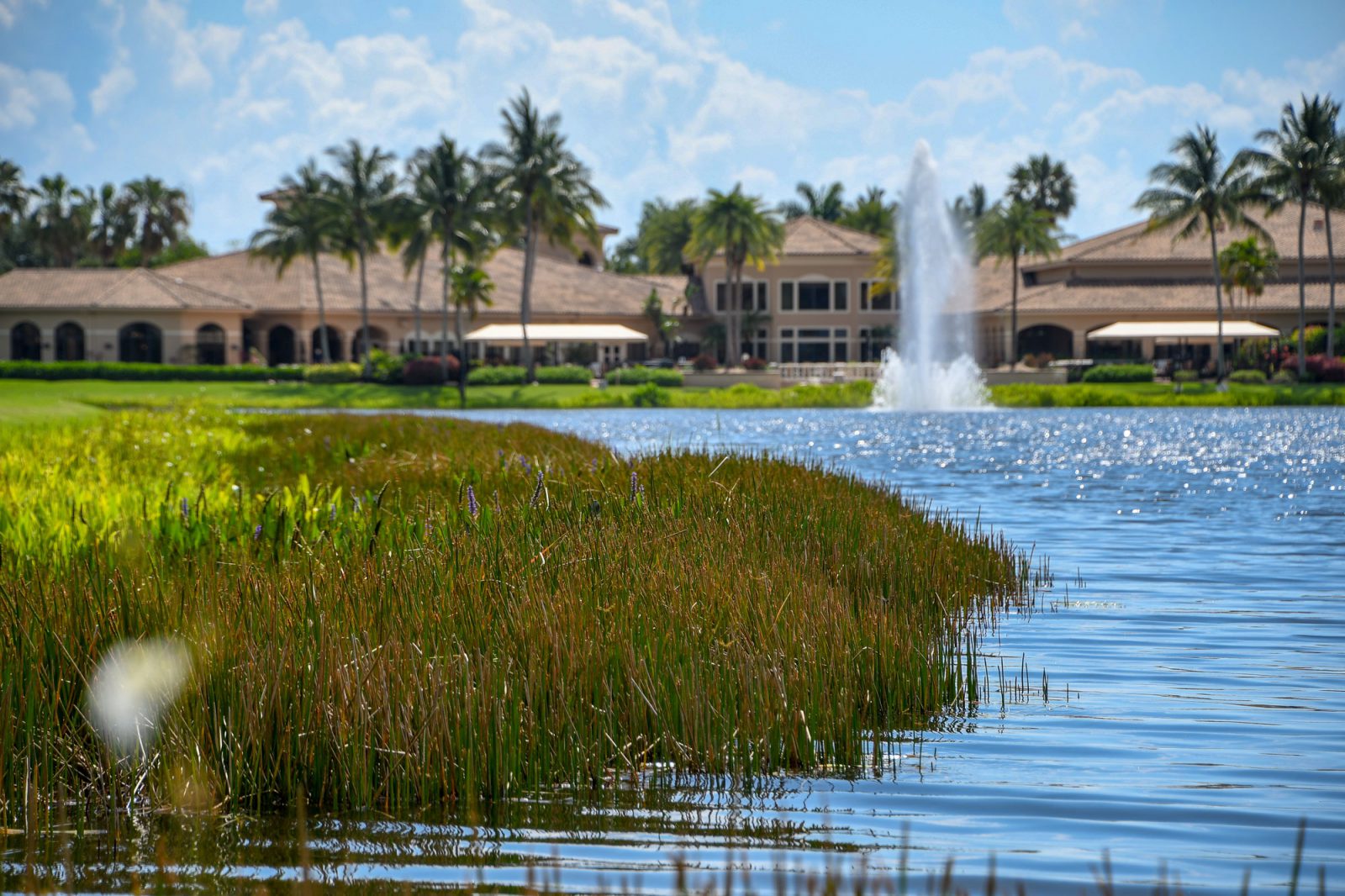 beneficial-buffer-florida-community-pond