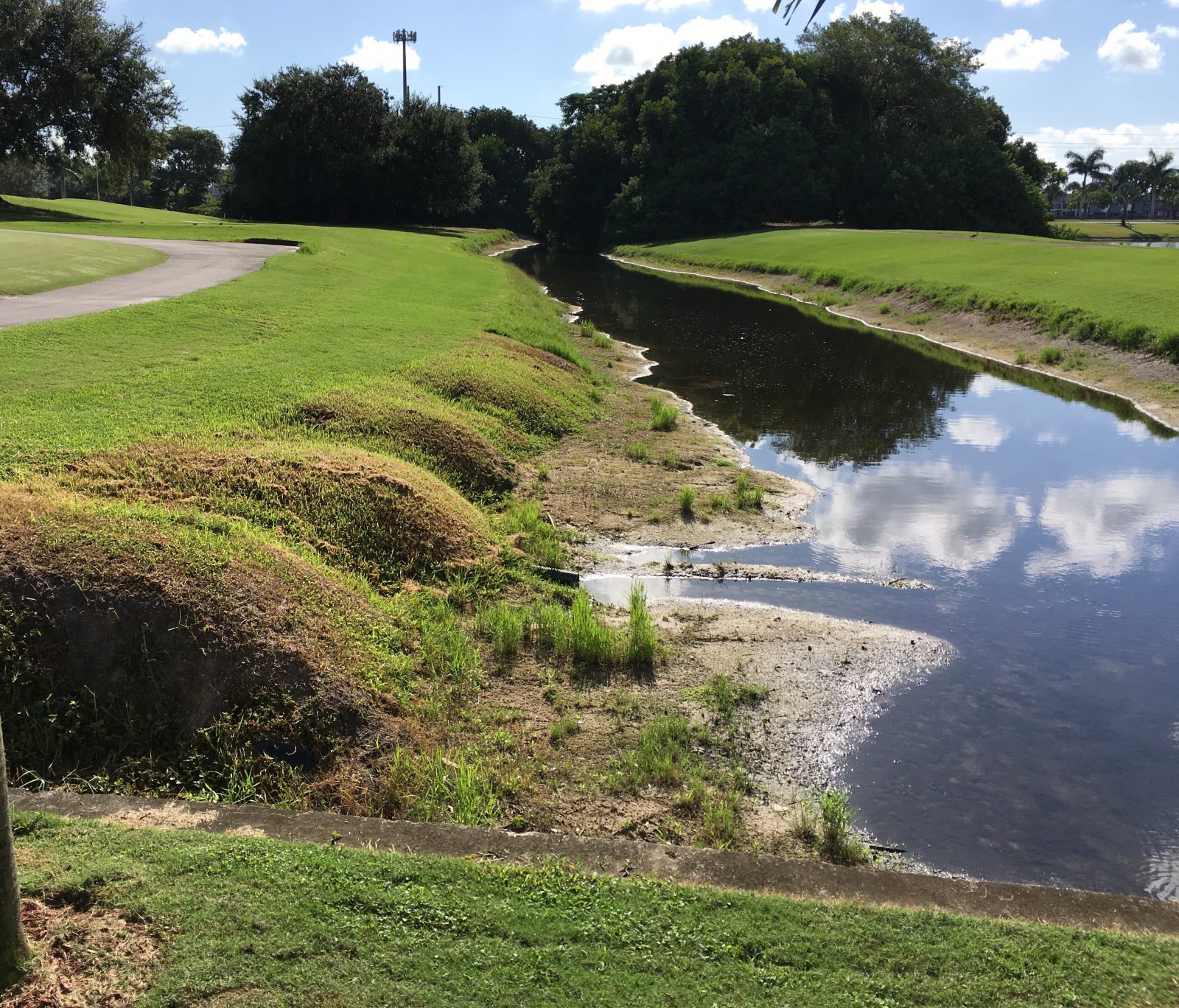 erosion-damage-erosion-runoff