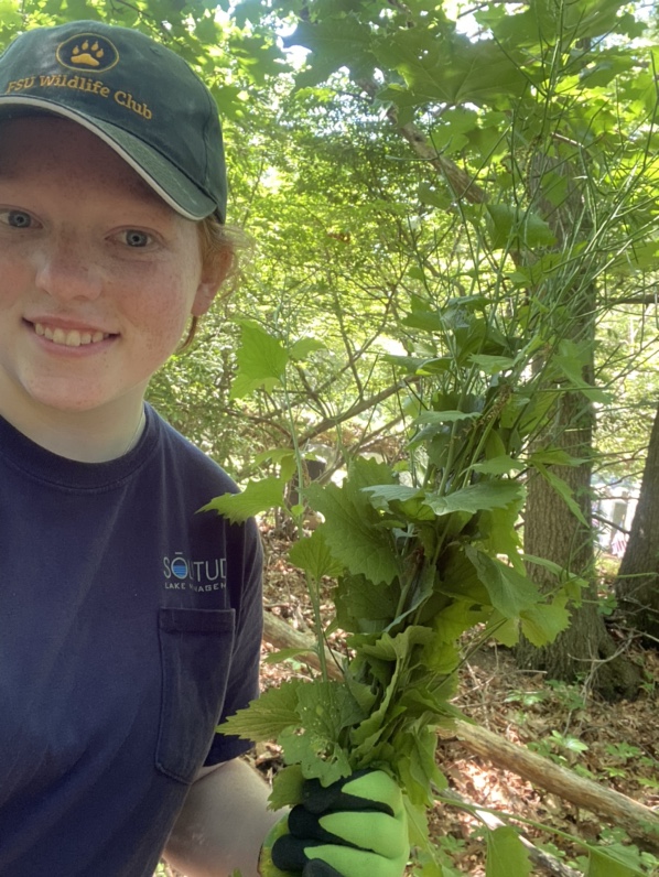 the solution volunteer of the quarter