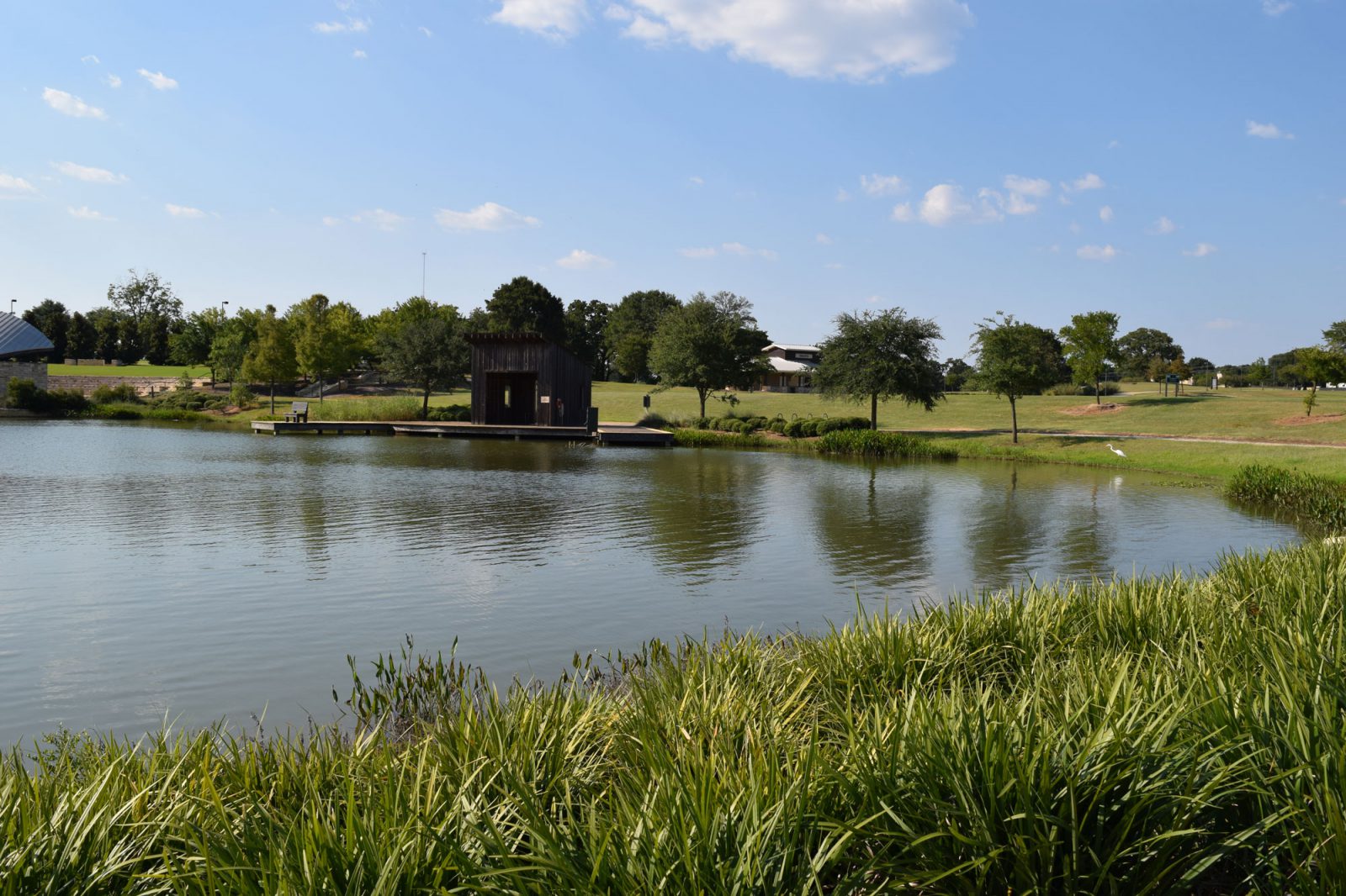public-park-fishing-pond-texas