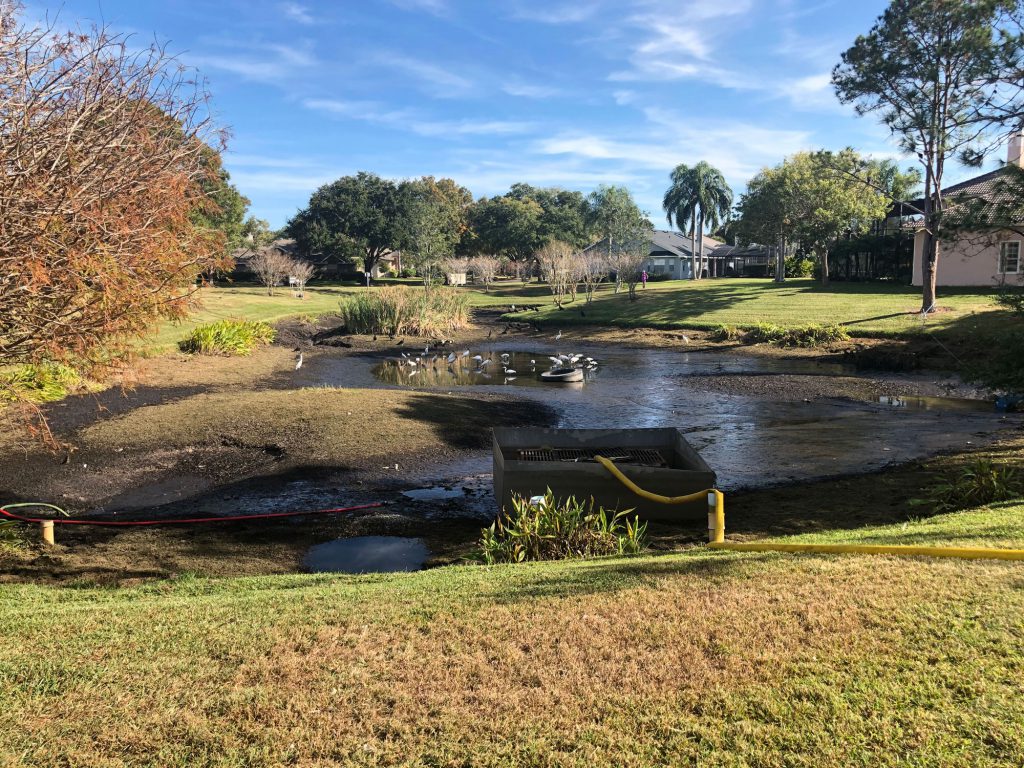 sedimentation-pond-restoration