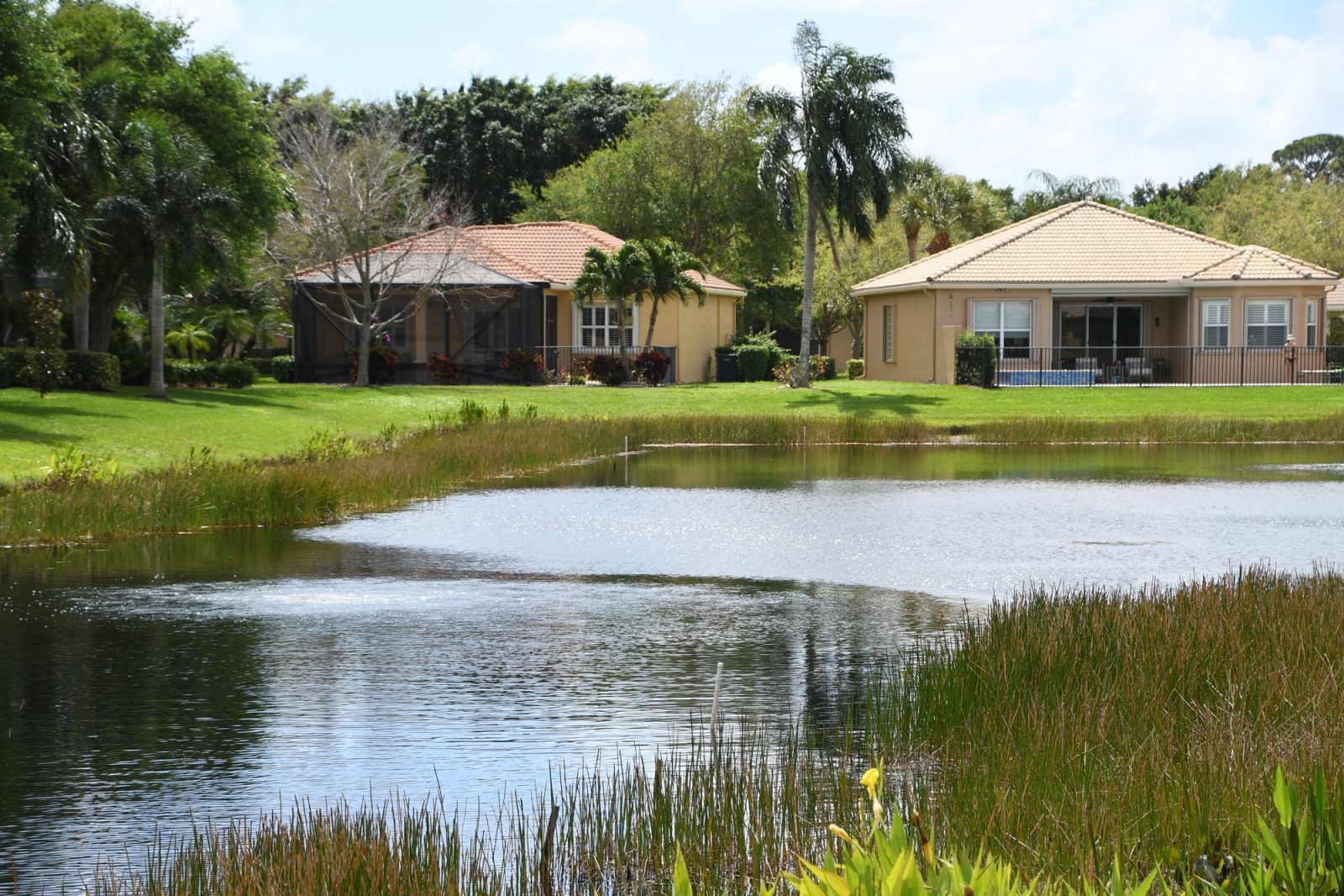 shoreline-erosion-damage-restoration