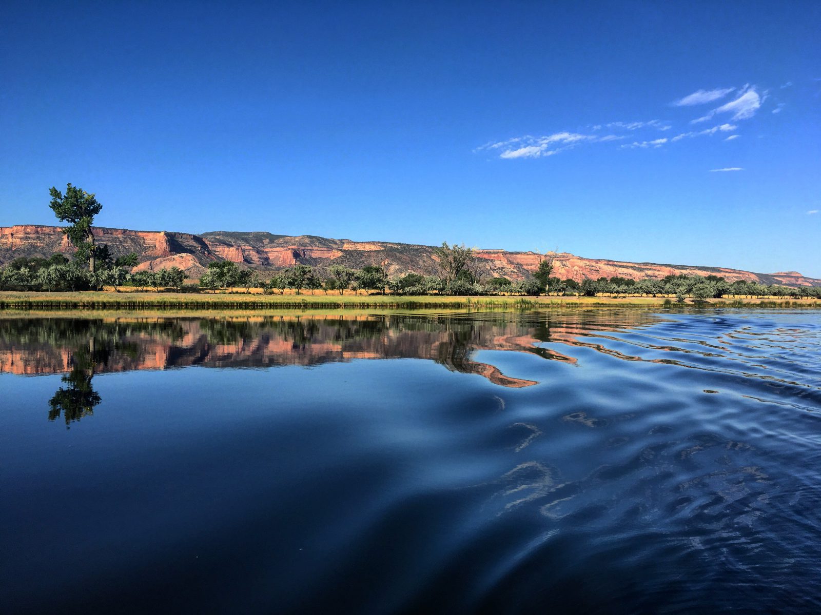 algae-management-algaecides