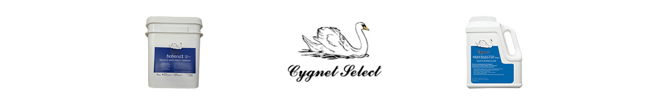 cygnet-select-products