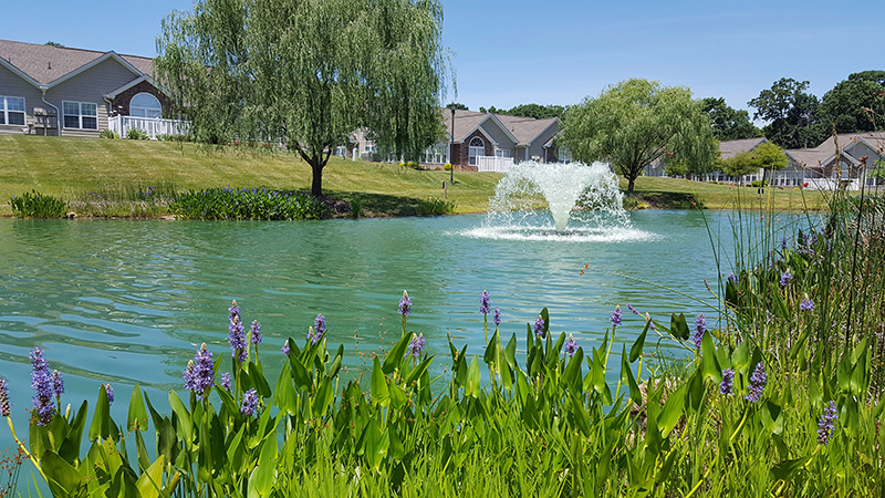 lake-pond-dye-blue