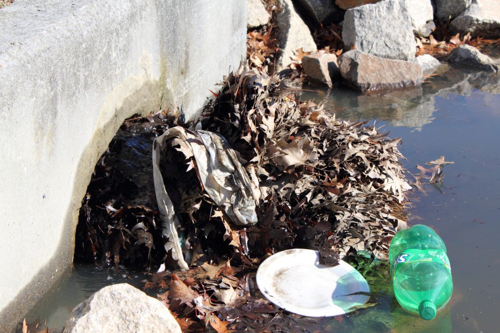 lake-pond-pollution