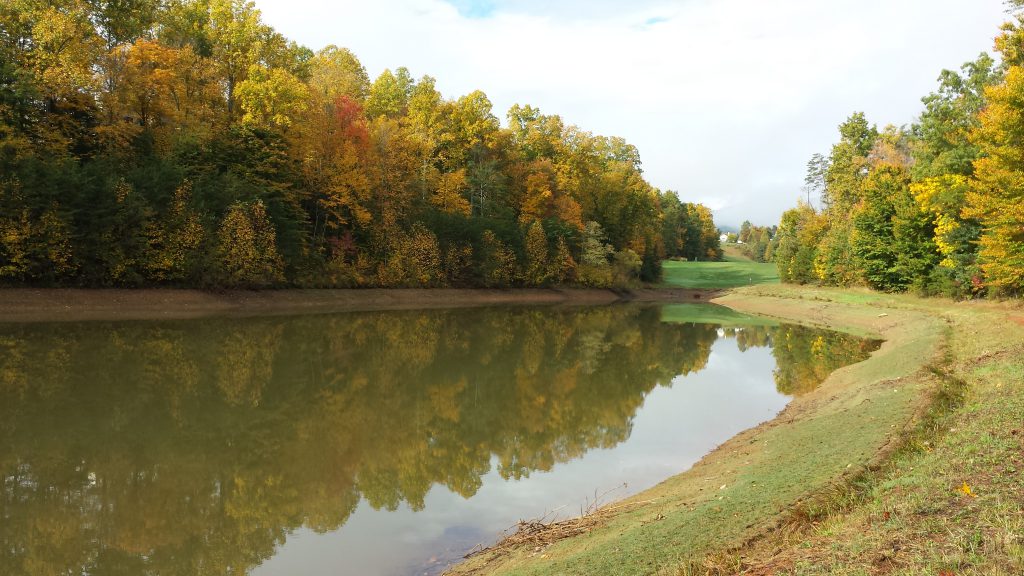 water-quality-management