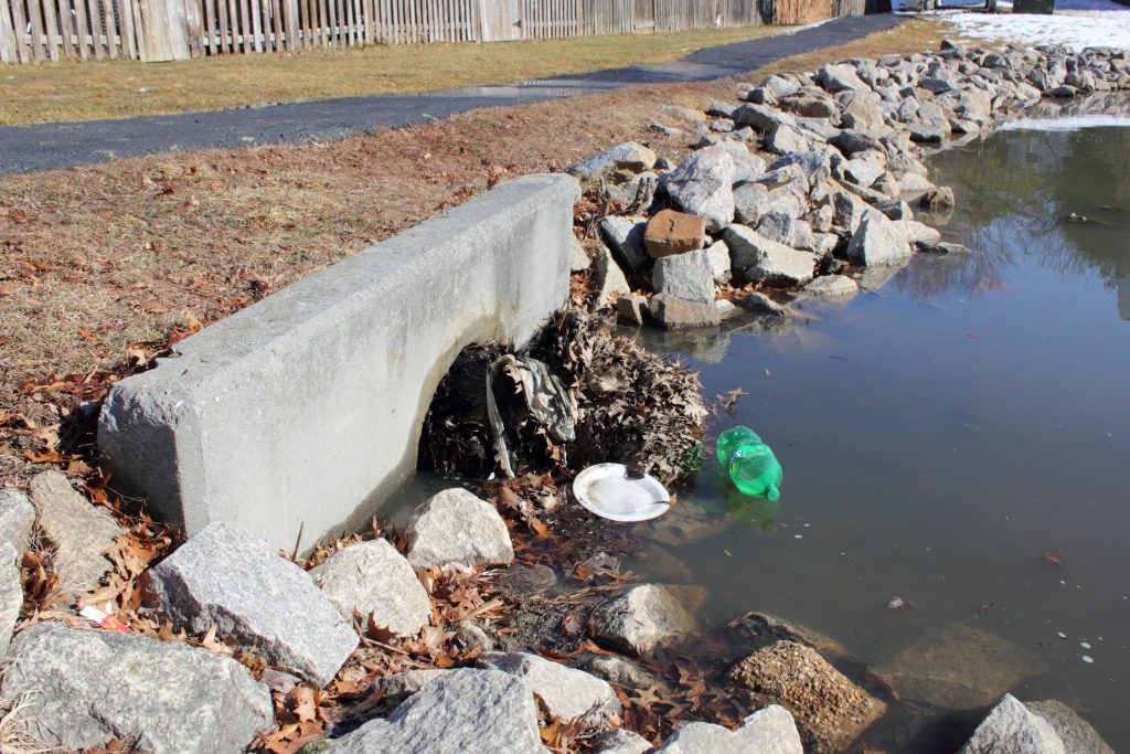 debris-removal-trash-cleanup-pond-management