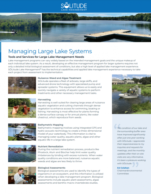 large-lake-management-services-one-sheet