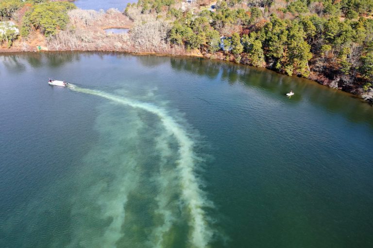 Alum Applications for Water Quality Restoration