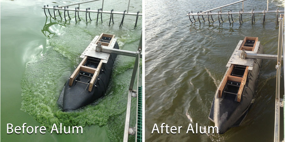 before-after-alum-application-algae-bloom-management