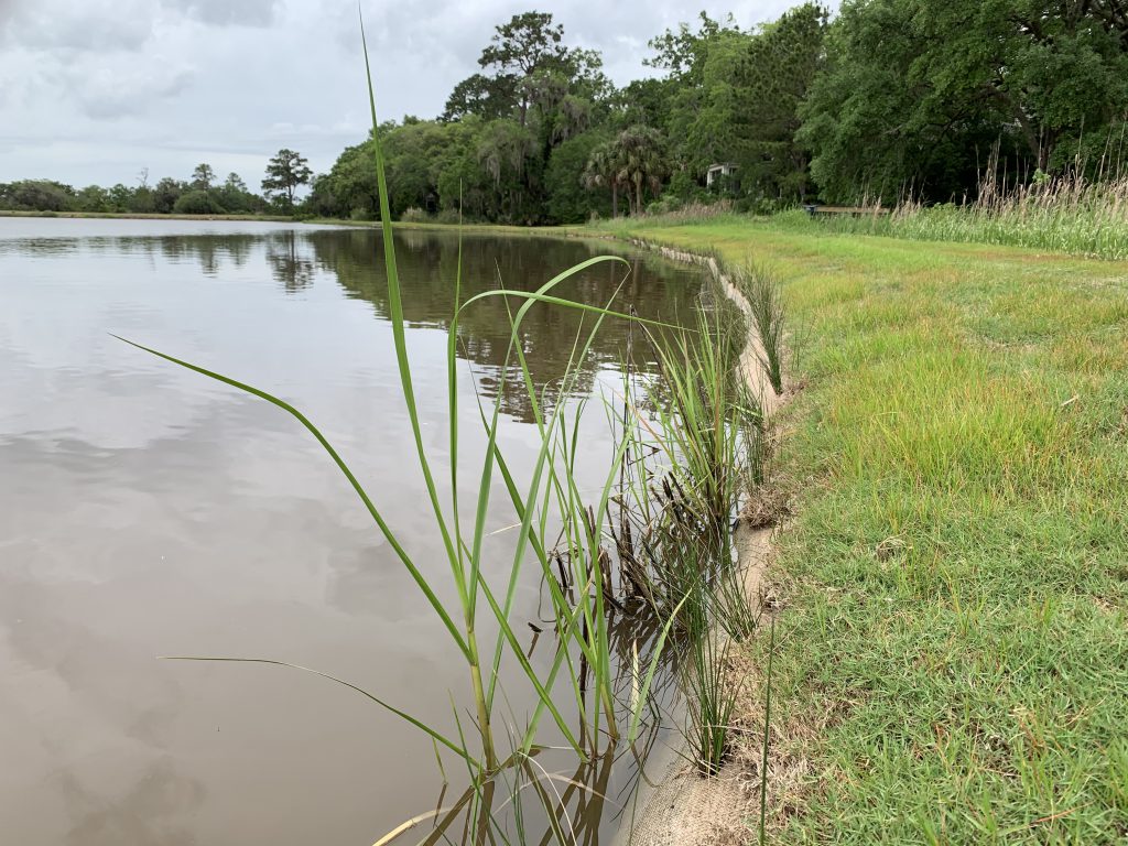 repair-shoreline-erosion-damage