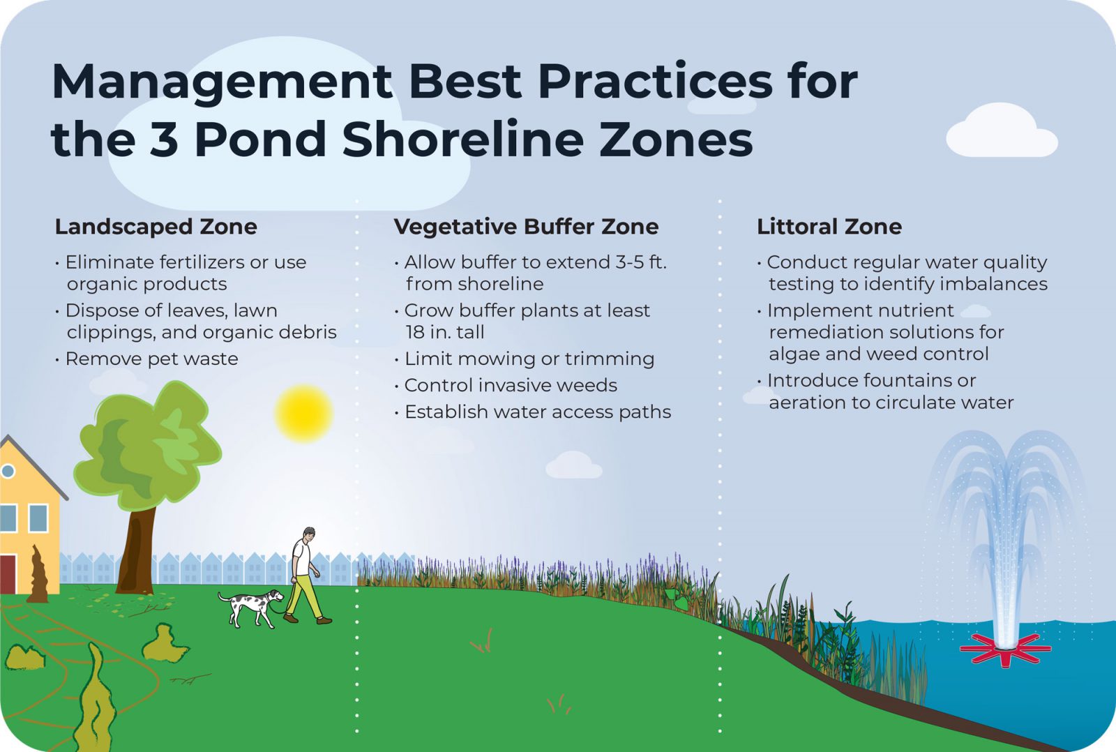 shoreline-management-infographic