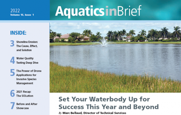 spring-summer-newsletter-aquatics-in-brief-2022