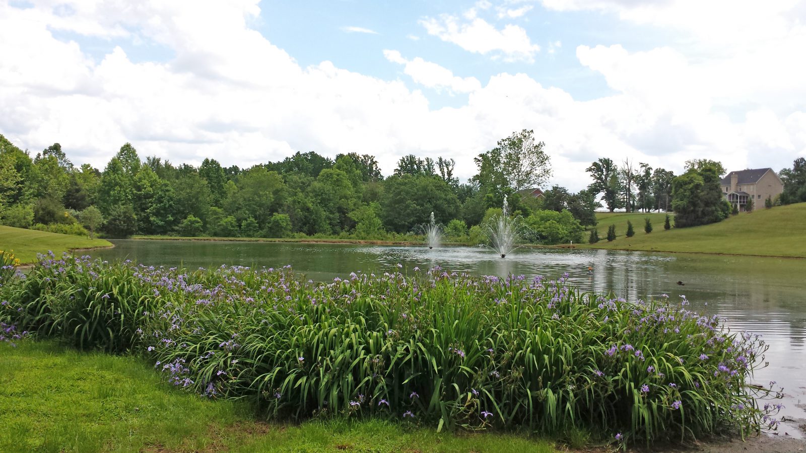 Beneficial Plants Fountain The Trivium Lynchburg