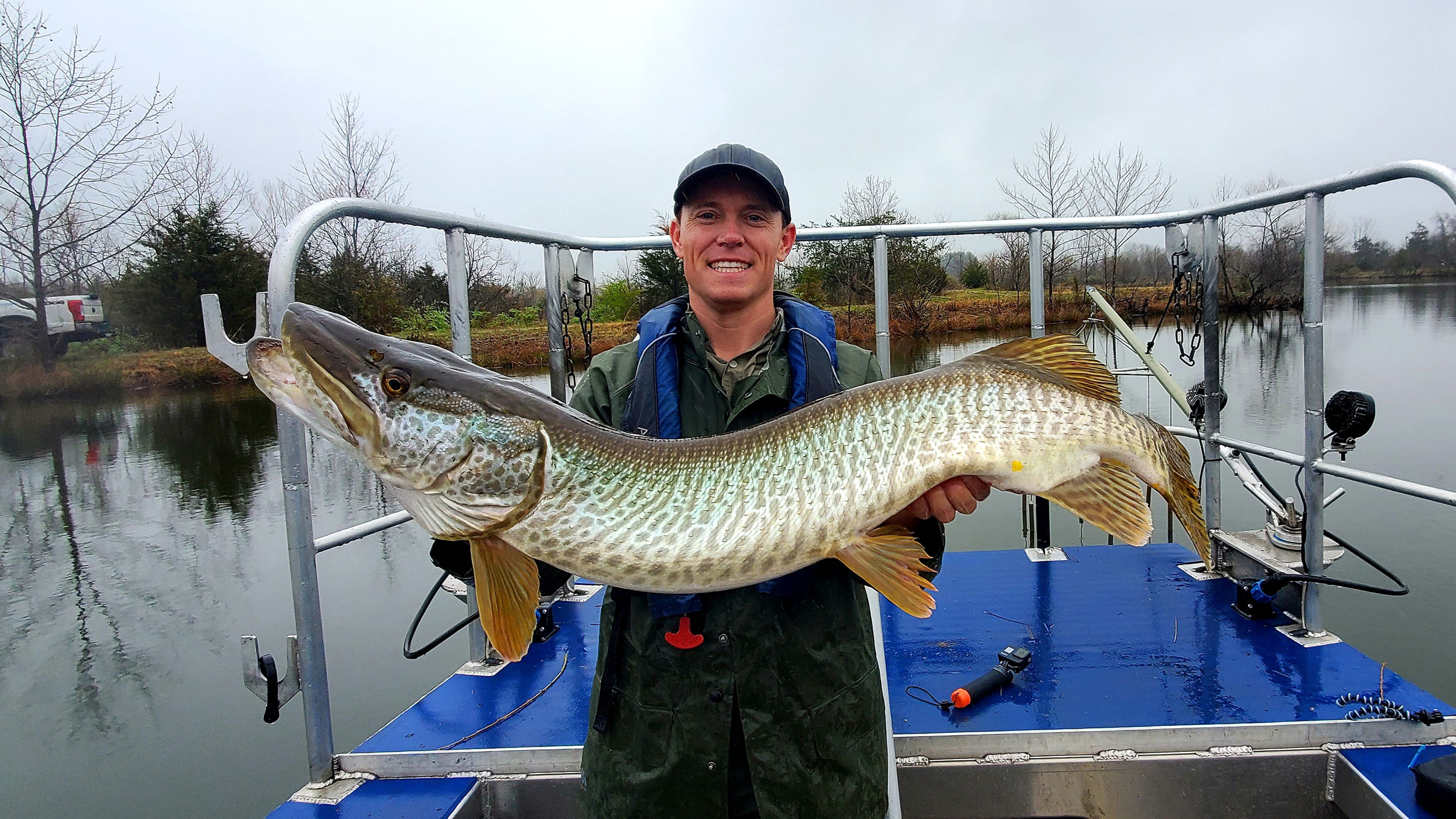 Pushing the Southern Limit for Tiger Musky