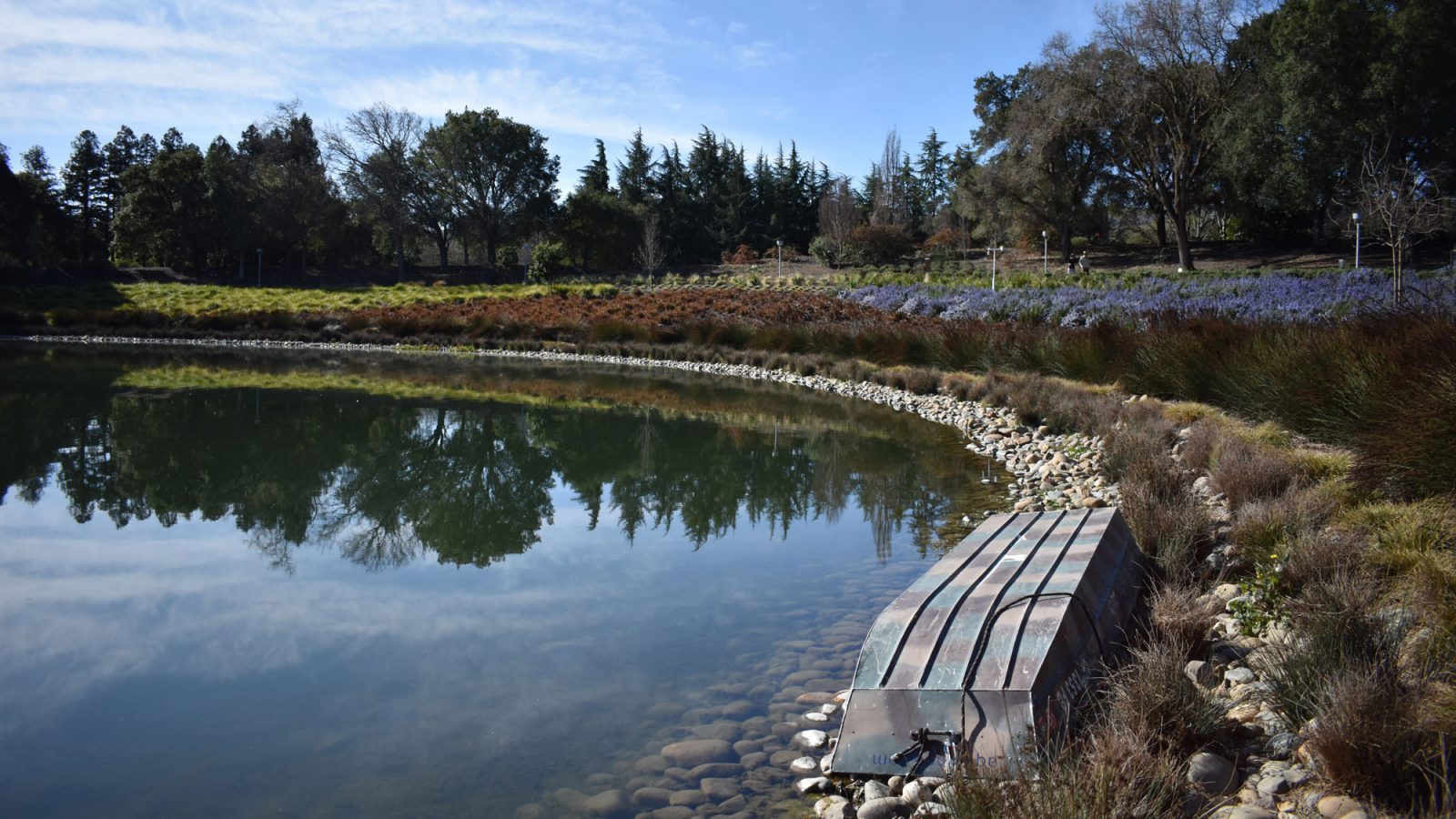 california-pond-shoreline-buffer