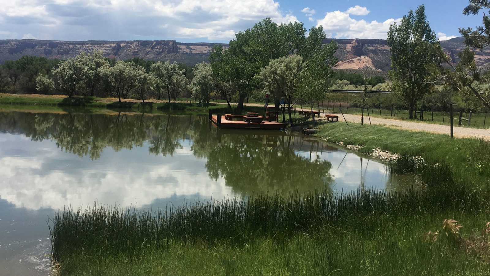 colorado-private-pond-beneficial-native-buffer