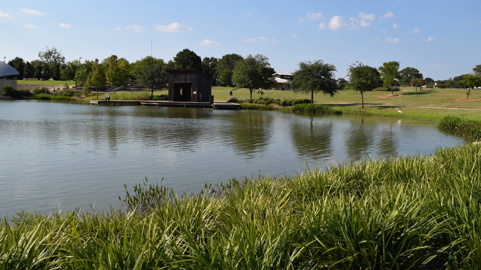 public fishing pond texas