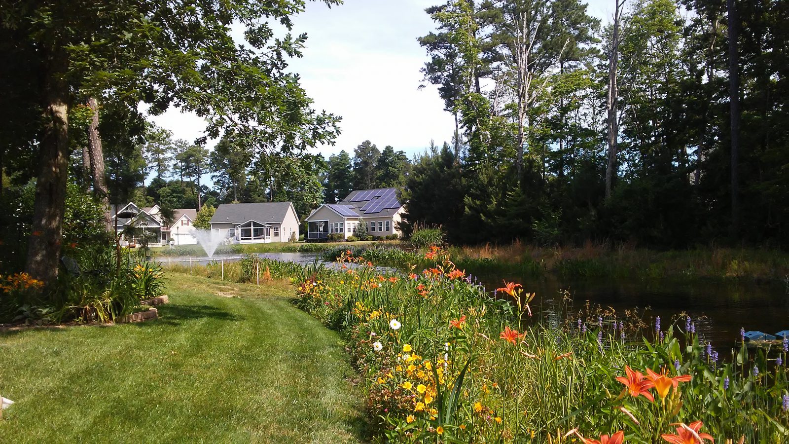 Vegetation Pond Buffer Plants in Midwest