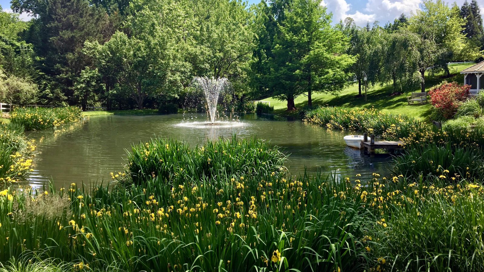 beneficial native vegetation pond