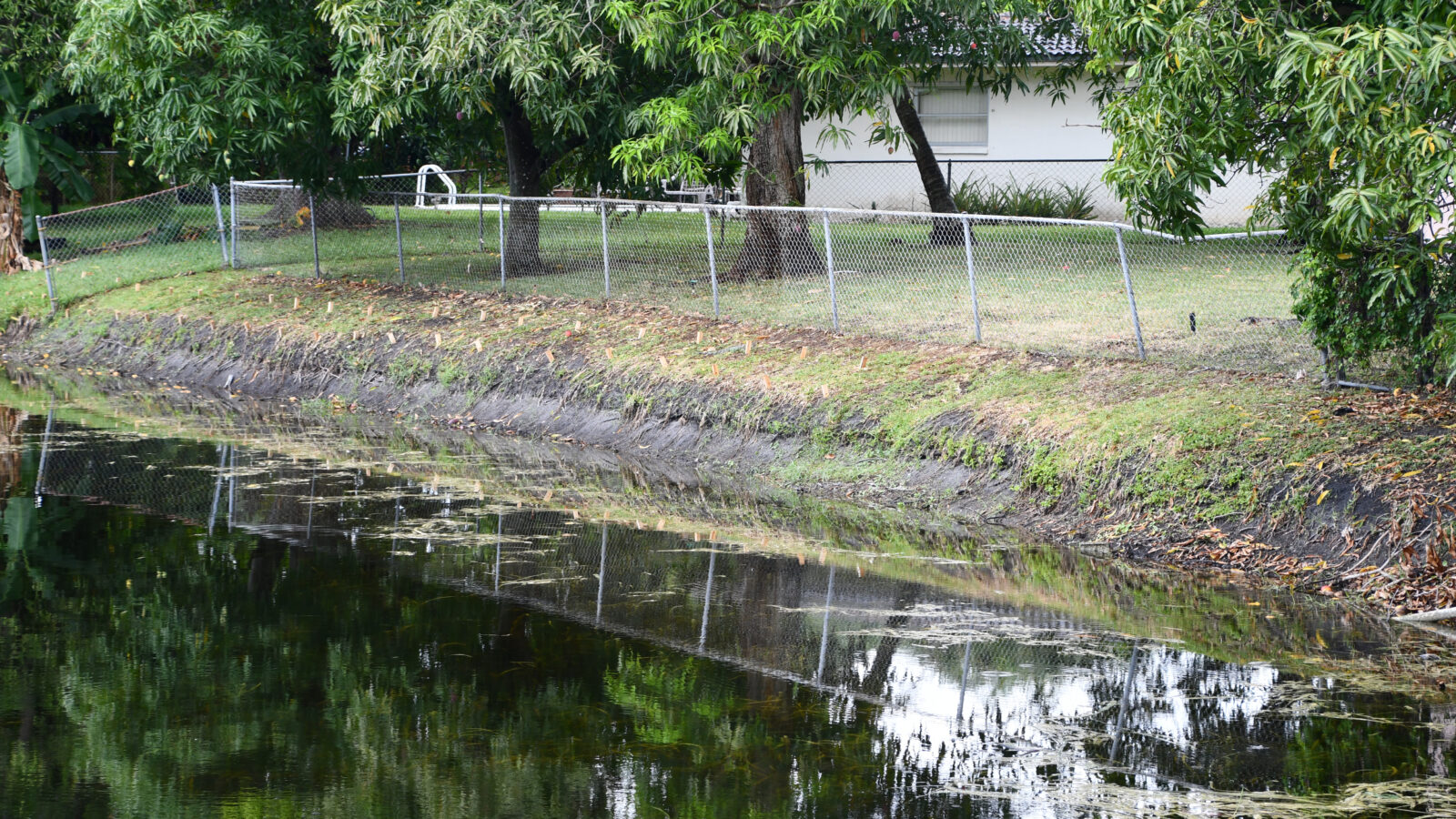 shoreline-erosion-damage-florida-canal