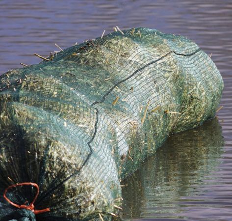 Floating algaecide barley straw bale water treatment close up (1)