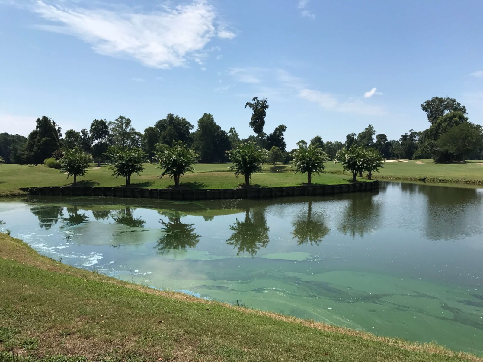 Lake and Pond Algae Control and Prevention Services
