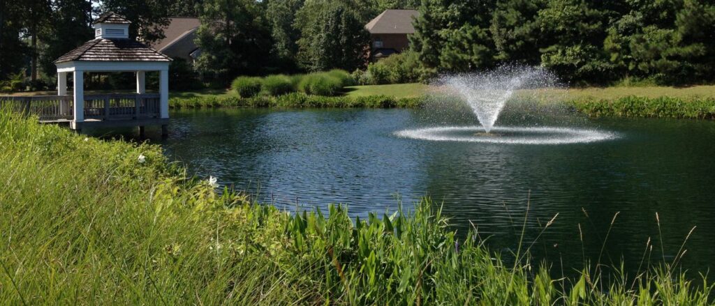 community-stormwater-pond-management (1)