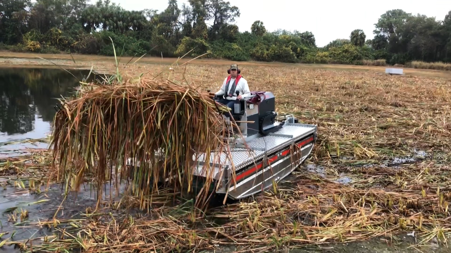 Mechanical removal of cattails in a wetland area