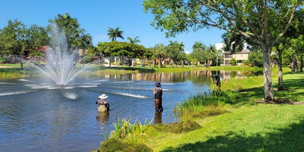 stormwater-pond-community-fountain-shoreline
