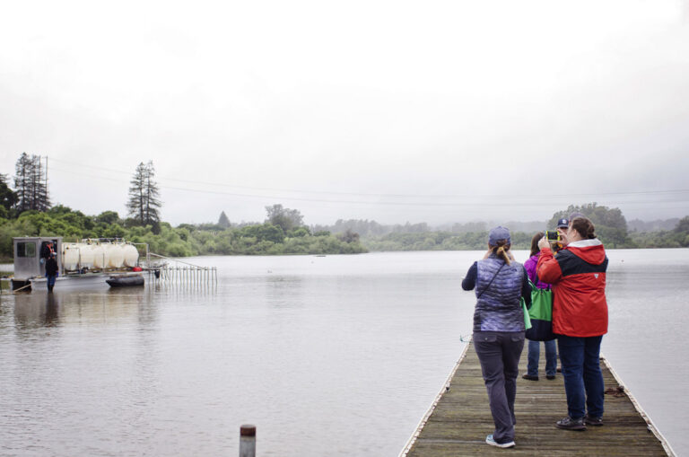 people-standing-on-dock-taking-photos