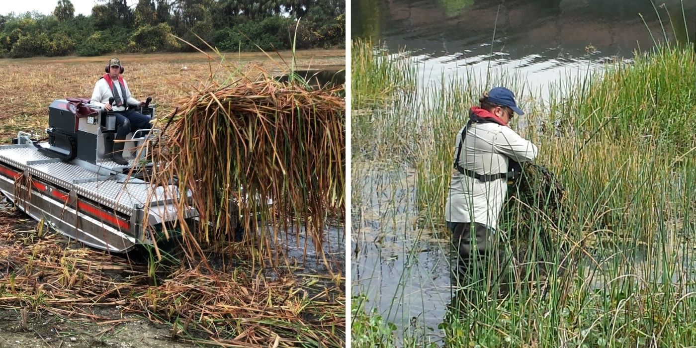 florida-wetland-upland-management-preservation