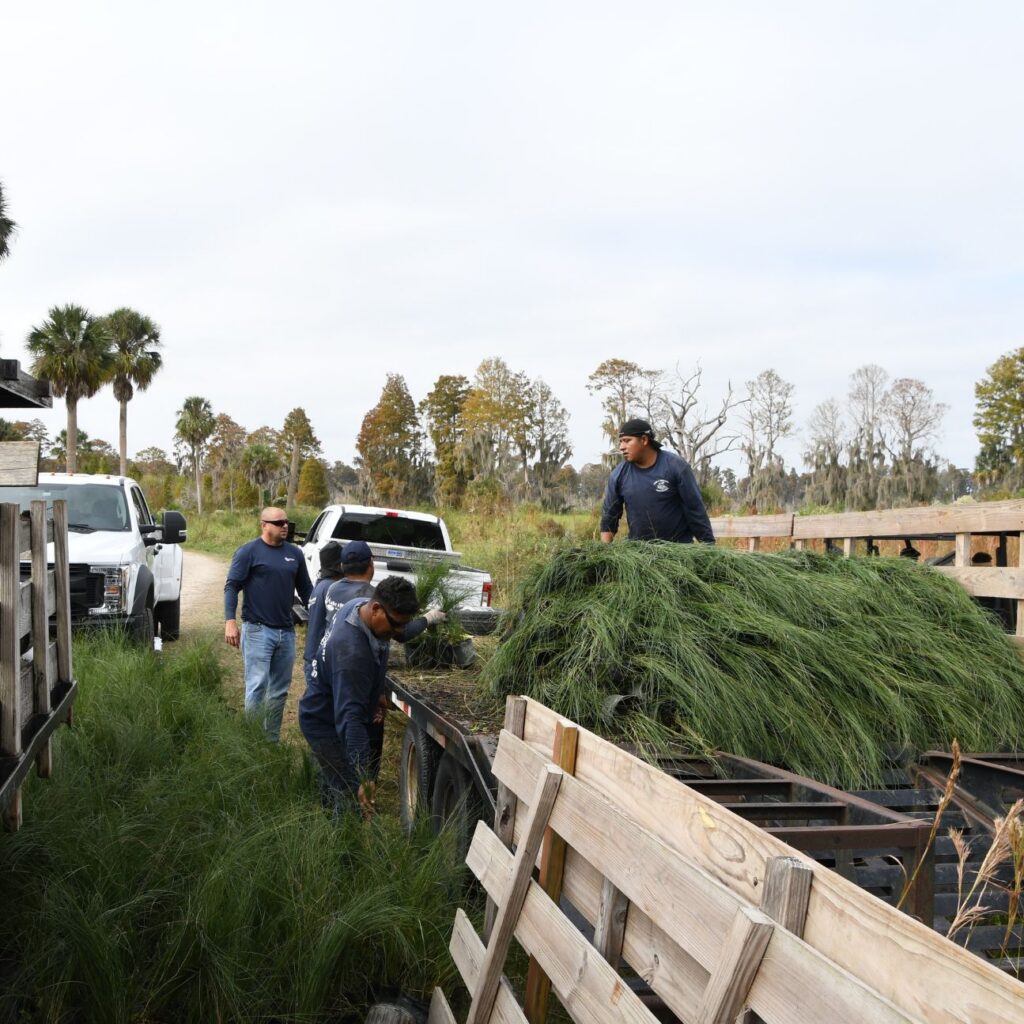 florida-wetland-upland-preservation-management