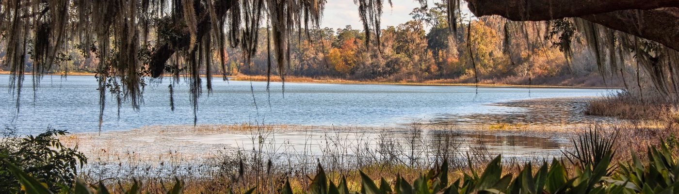 florida-wetland-upland-preservation