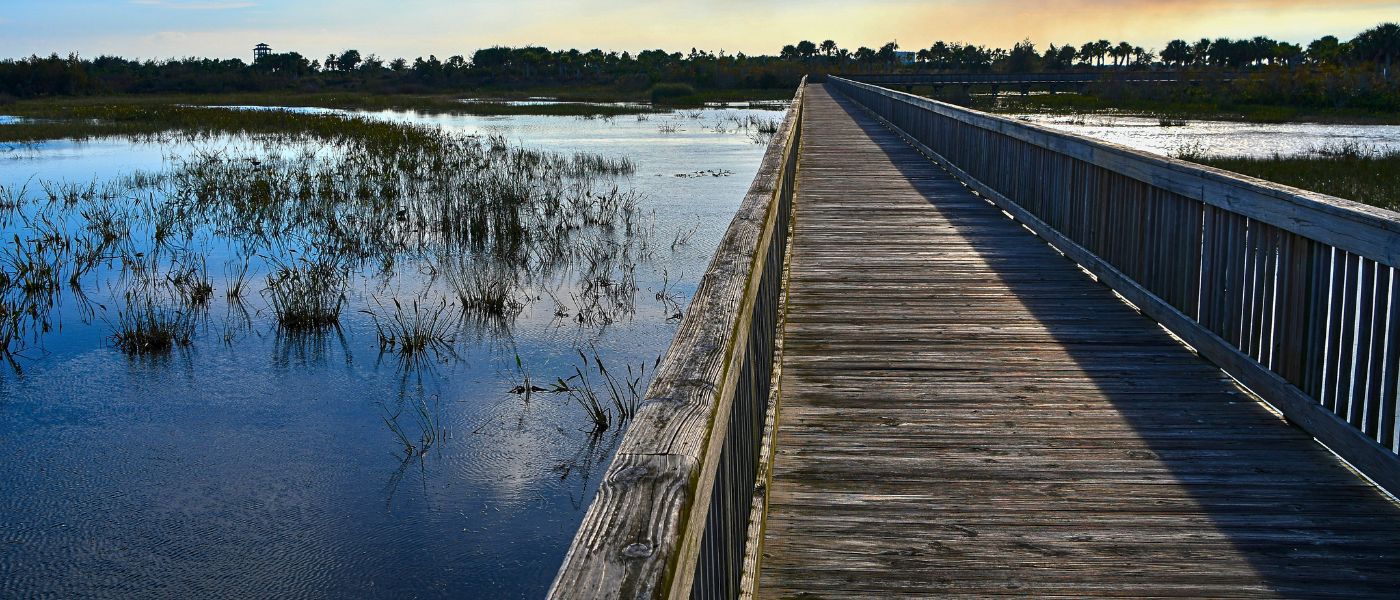florida-wetland-upland-waterway