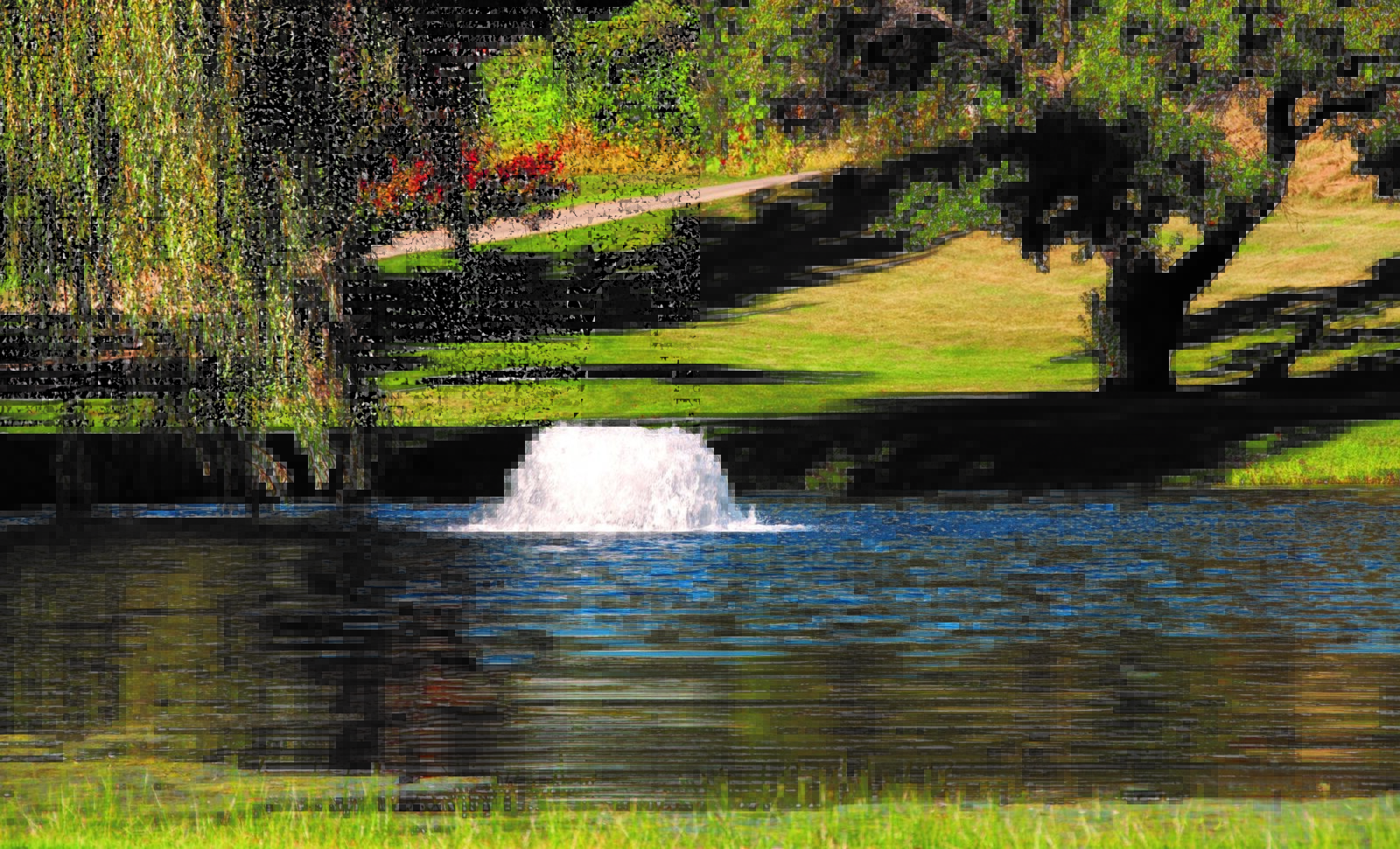 Pond Aeration: Improve Water Quality