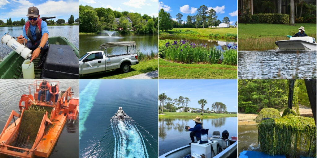 ecosystem-restoration-proactive-strategies (1)