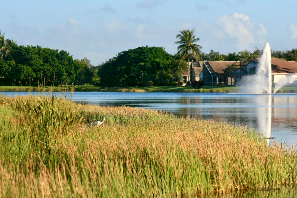 Florida-littorial-floating-fountain-wildlife