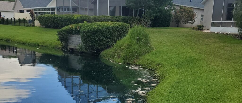 dissolved-oxygen-levels-drop-fish-kills