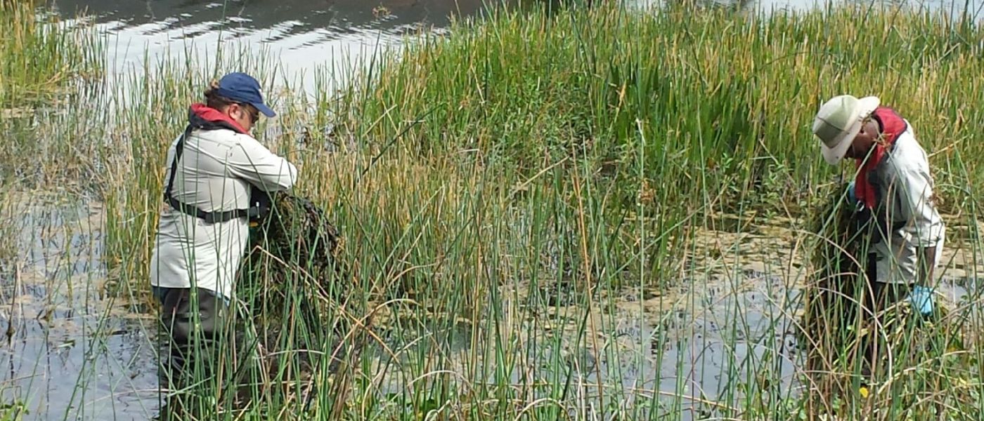 florida-wetland-upland-management