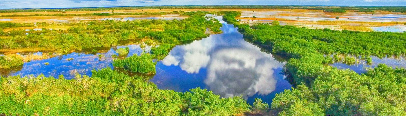 florida-wetlands-everglades