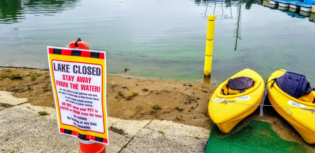 hab_blue_green_algae_kayak_horizontal