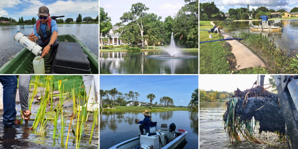 post-treatment-strategies-for-ongoing-lake-and-pond-management